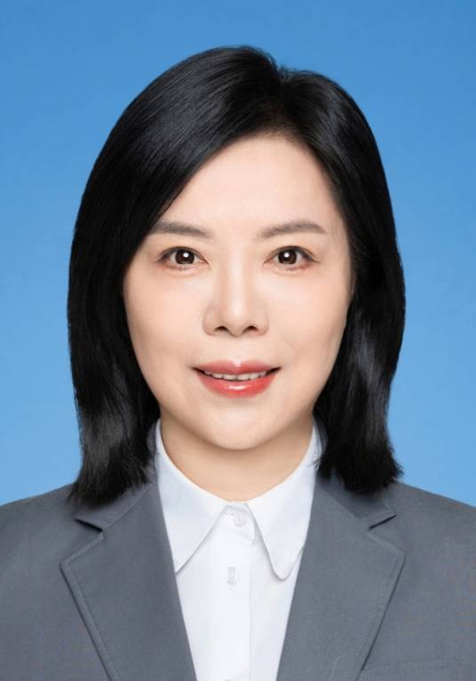王苗（陕西省咸阳市渭城区委书记）