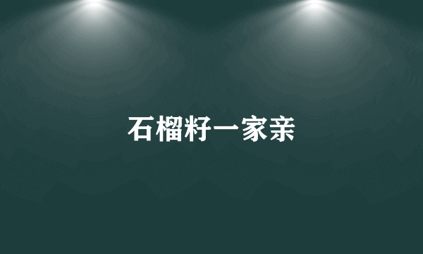 石榴籽一家亲