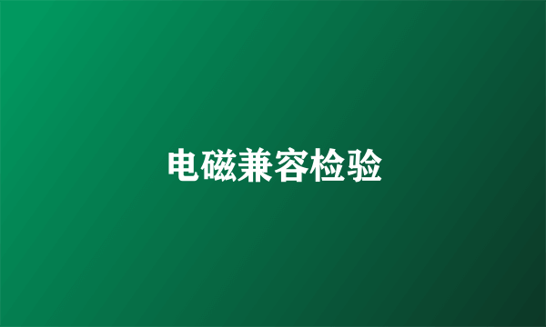 电磁兼容检验