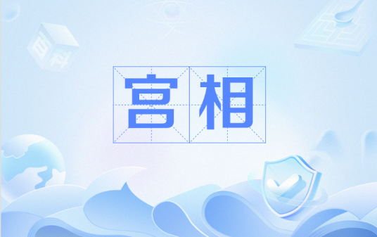 宫相（法国墨洛温王朝时期官职）