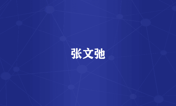 张文弛