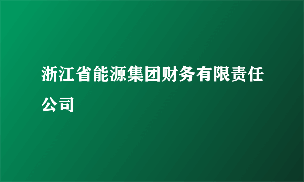 浙江省能源集团财务有限责任公司