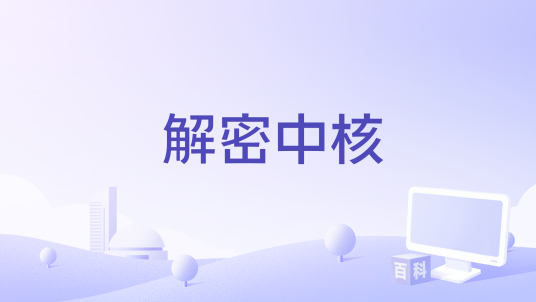 解密中核