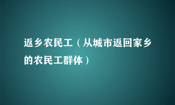 返乡农民工（从城市返回家乡的农民工群体）