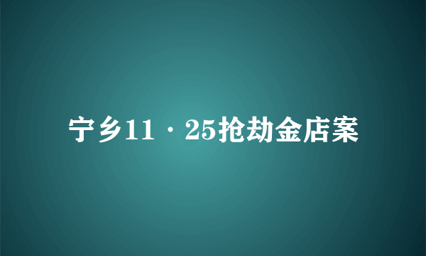 宁乡11·25抢劫金店案