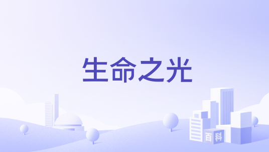 生命之光（品牌）
