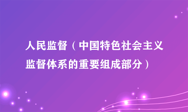 人民监督（中国特色社会主义监督体系的重要组成部分）