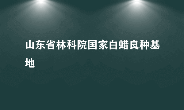 山东省林科院国家白蜡良种基地