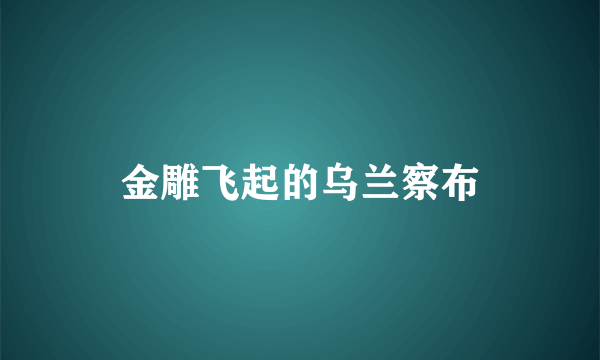 金雕飞起的乌兰察布