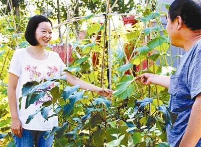 曹群（大学生村官）