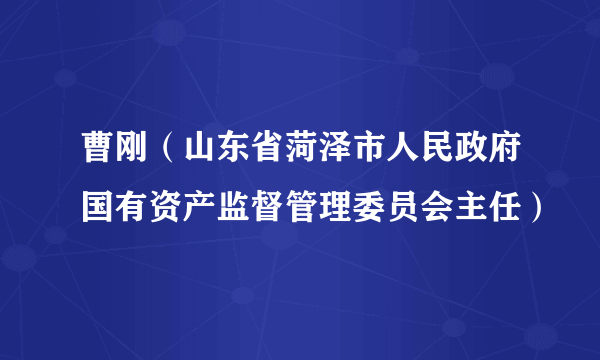 曹刚（山东省菏泽市人民政府国有资产监督管理委员会主任）