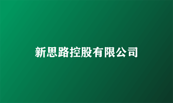 新思路控股有限公司