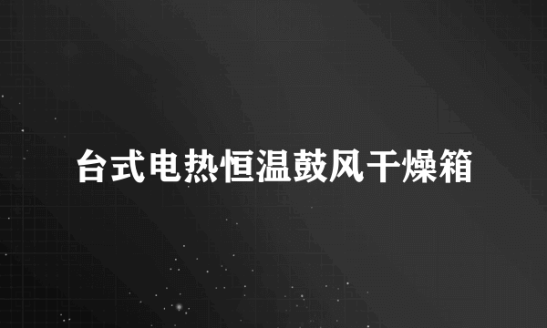 台式电热恒温鼓风干燥箱