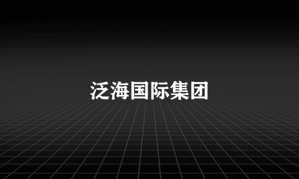 泛海国际集团