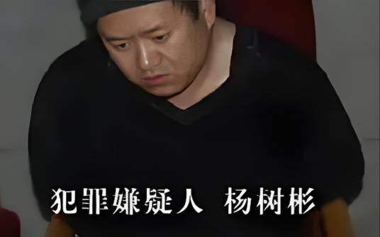 杨树彬（2002年吉林市杀人碎尸案犯罪嫌疑人）