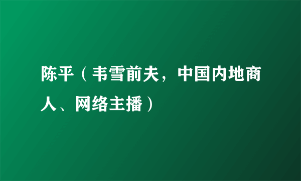 陈平（韦雪前夫，中国内地商人、网络主播）