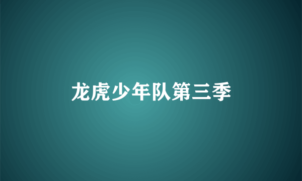 龙虎少年队第三季