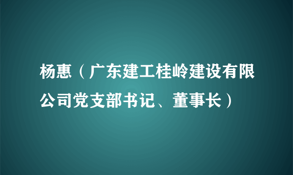杨惠（广东建工桂岭建设有限公司党支部书记、董事长）