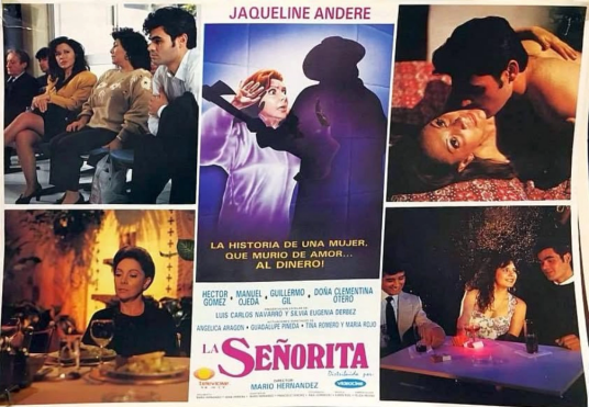 小姐（墨西哥1994年Mario Hernández执导的电影）