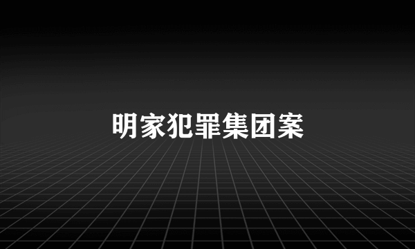 明家犯罪集团案