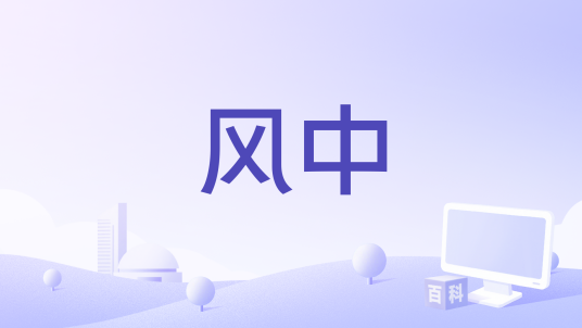 风中（王铮亮演唱的歌曲）
