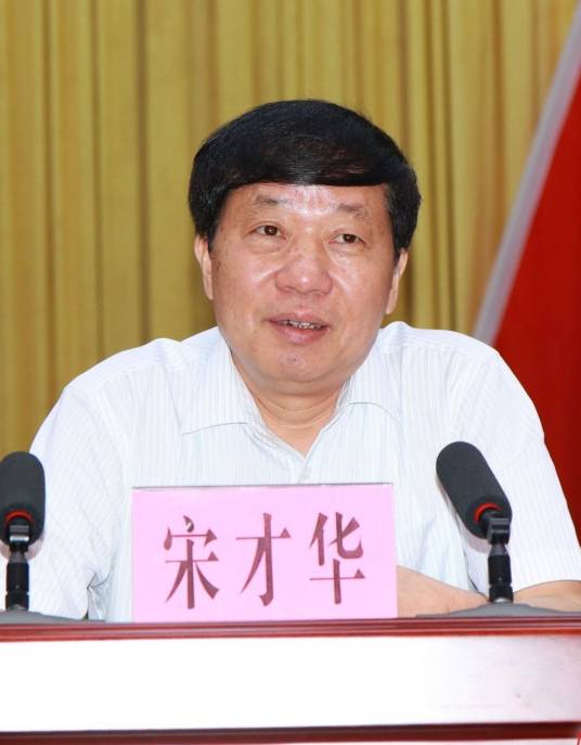 宋才华