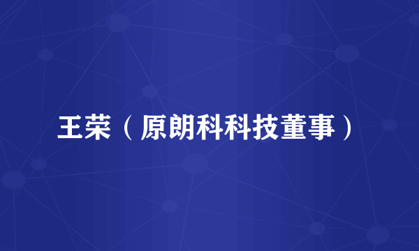 王荣（原朗科科技董事）