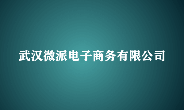 武汉微派电子商务有限公司