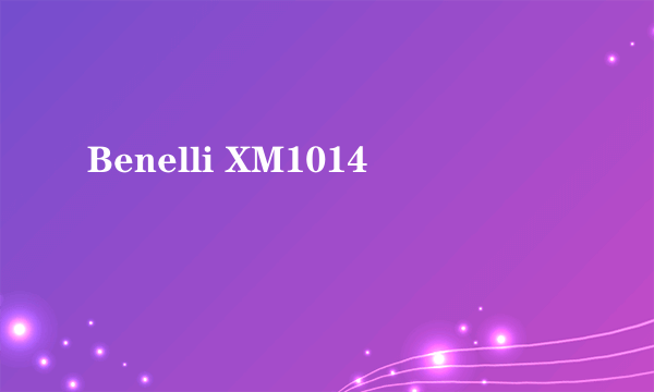 Benelli XM1014