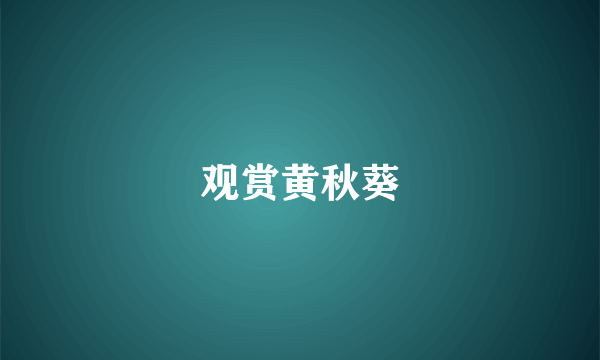 观赏黄秋葵
