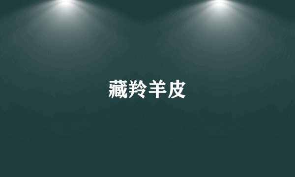 藏羚羊皮