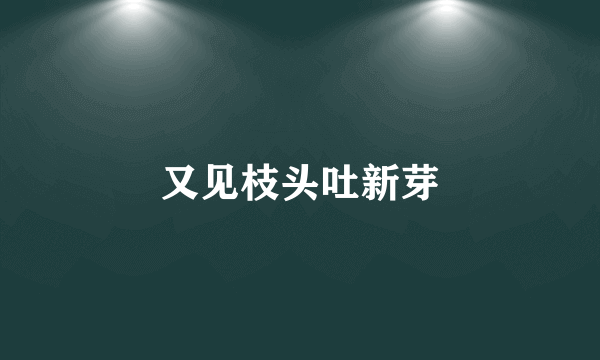 又见枝头吐新芽