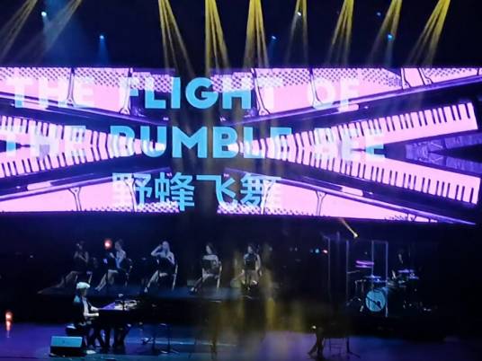 野蜂飞舞（克罗地亚钢琴演奏家马克西姆演奏的单曲）