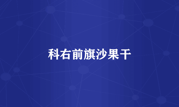 科右前旗沙果干