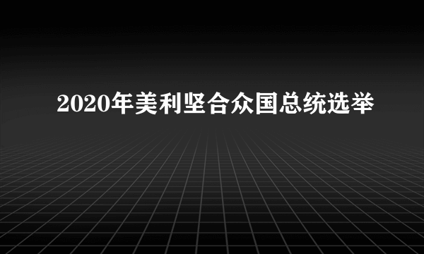 2020年美利坚合众国总统选举