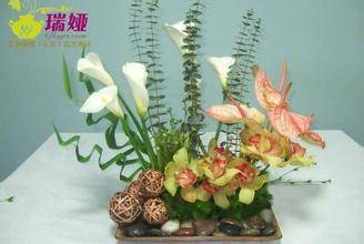 北京欧洲瑞娅花艺