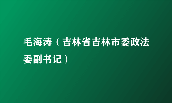 毛海涛（吉林省吉林市委政法委副书记）