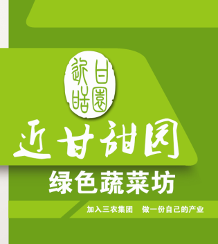 中国数字农村（集团）股份有限公司