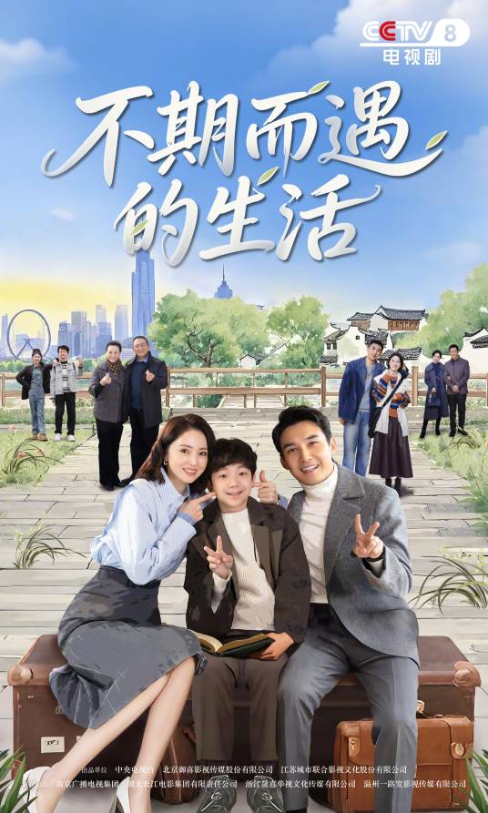 不期而遇的生活（2025年武洪武执导的电视剧）