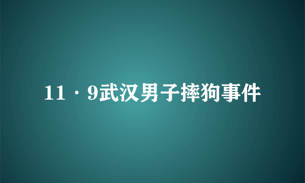 11·9武汉男子摔狗事件