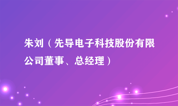 朱刘（先导电子科技股份有限公司董事、总经理）