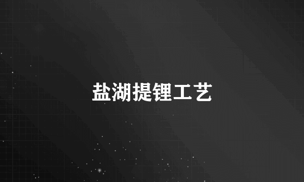 盐湖提锂工艺