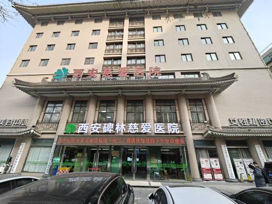 西安碑林慈爱医院有限公司