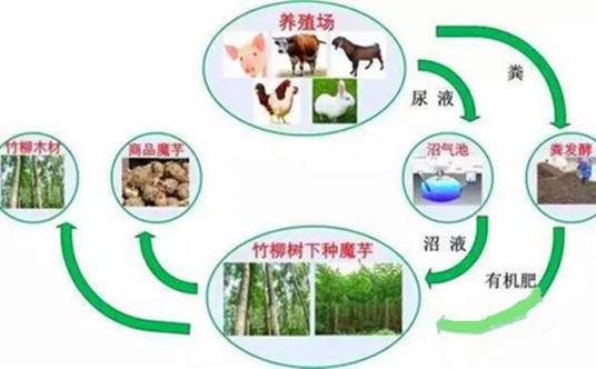 种养循环