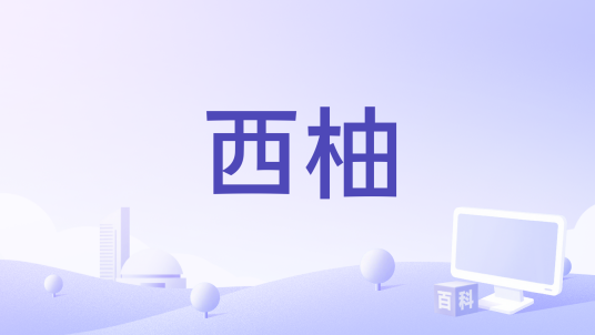 西柚（多款同名手机应用程序的统称）