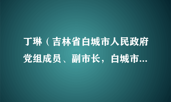 丁琳（吉林省白城市人民政府党组成员、副市长，白城市红十字会会长）