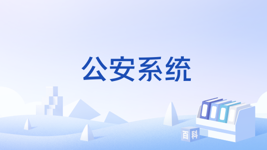 公安系统