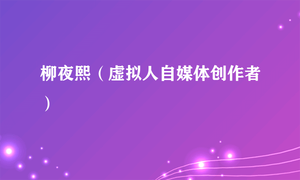 柳夜熙（虚拟人自媒体创作者）