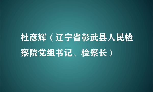 杜彦辉（辽宁省彰武县人民检察院党组书记、检察长）