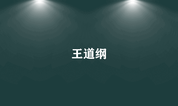 王道纲